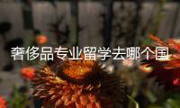 奢侈品专业留学去哪个国家好？