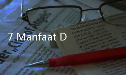 7 Manfaat Daun Bidara buat Kesehatan dan Efek Sampingnya