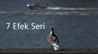 7 Efek Sering Jalan Kaki, Manfaatnya Bisa Sebagus Ini