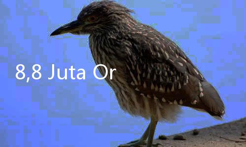 8,8 Juta Orang Indonesia Terbukti Main Judi Online, Perangi dengan GEBUK JUDOL