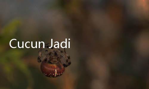 Cucun Jadi Wakil Ketua DPR, Siap Diospek Senior