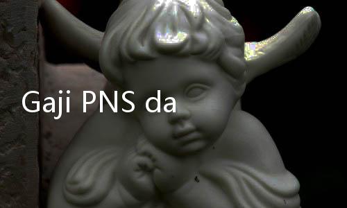 Gaji PNS dan TNI/Polri Naik 8 Persen, Pensiunan 12 Persen di 2024