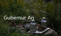 Gubernur Anies Diam