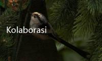 Kolaborasi Kemenekraf