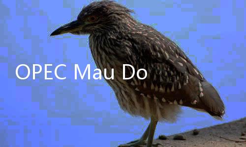 OPEC Mau Dongkrak Produksi Minyak Besar