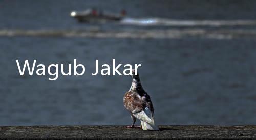Wagub Jakarta Rano Karno Minta Warga Waspadai DBD