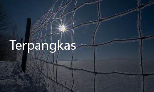 Terpangkas Rp28 Ribu, Harga Emas Antam Hari Ini Terjun Bebas Jadi Rp1.895.000 per Gram